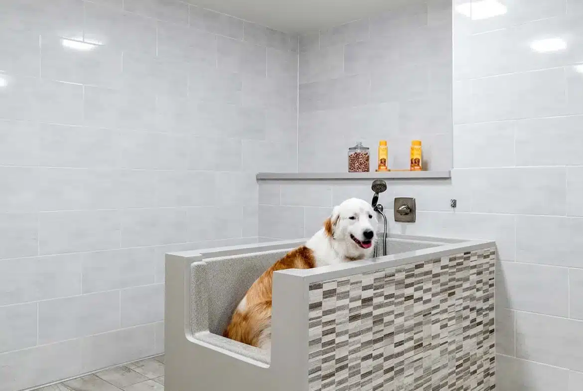 pet bath