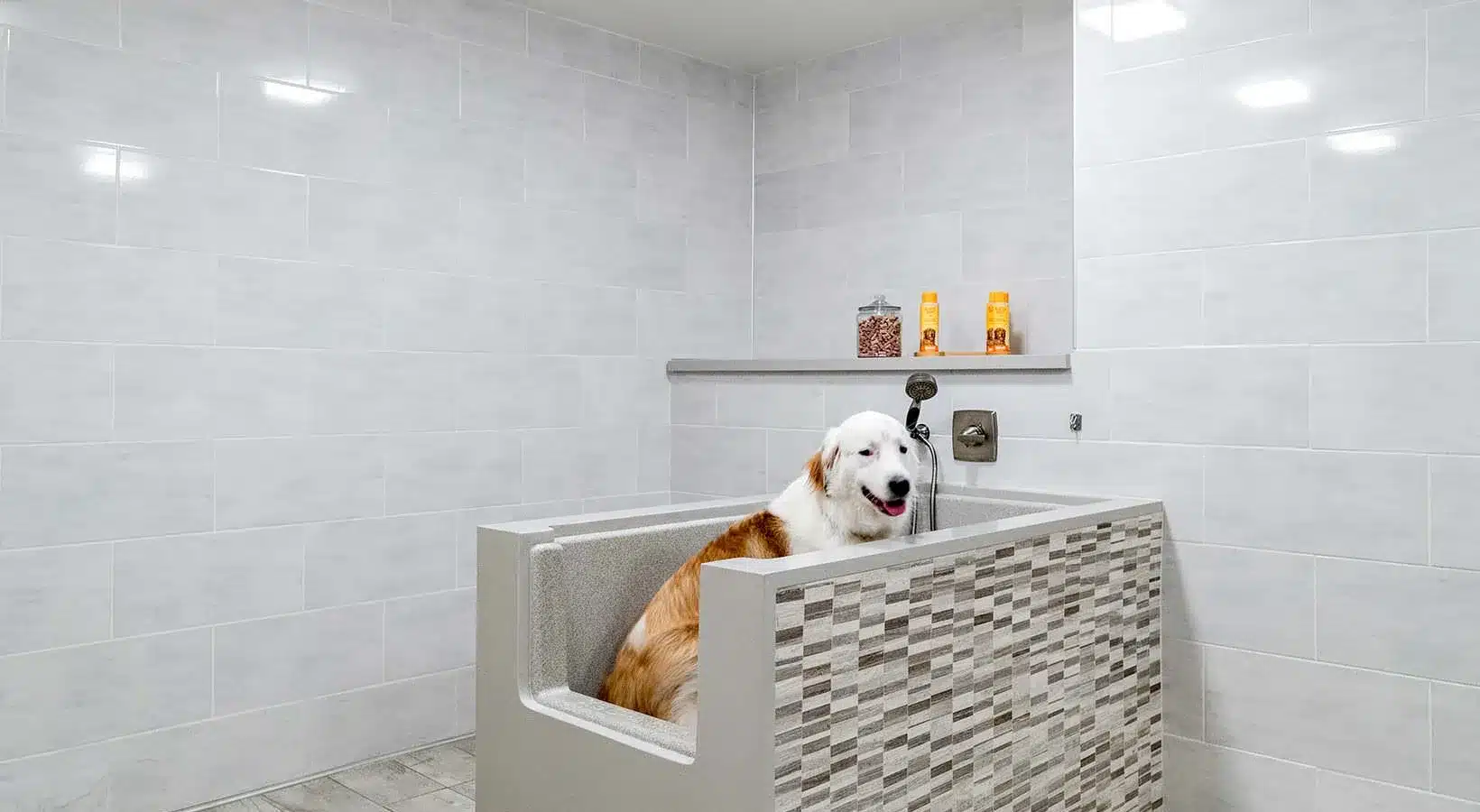 pet bath